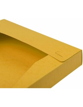Caja de archivo 40mm lomo Nature amarillo