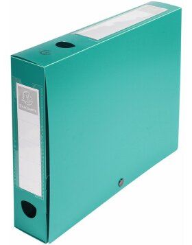 Archivbox mit Druckknopf aus PP 700? Rücken 70mm blickdicht, DIN A4 Grün