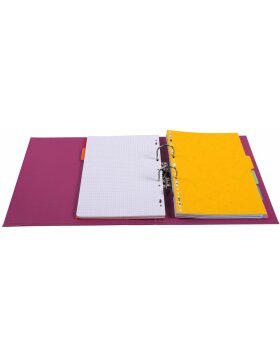 Carpeta A4 Premium 70mm colores intensivos