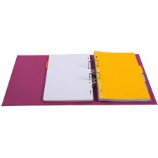 Folder A4 Premium 70mm intense colors