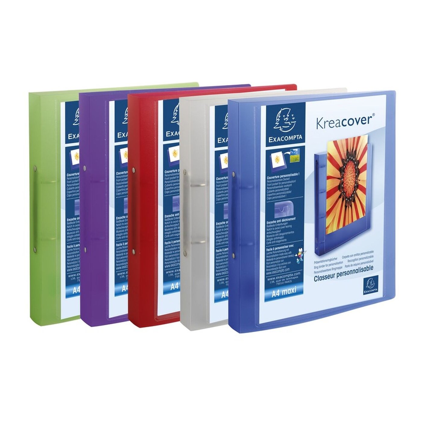 EXACOMPTA Präsentationsordner Ringbuch Uni A4 Maxi PP 2 Ringe 30mm Farbig Sortiert S0yc50e0