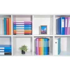 Ring Binder PP 700? with 4 rings 30mm, 40mm back, opaque, A4 overwidth assorted colors