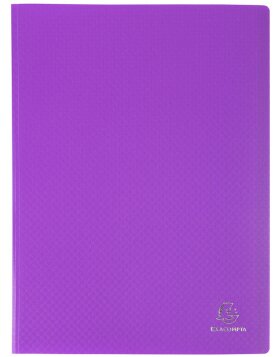 View folder made of soft PP 300? grained with 80 cases, opaque sorted for A4 color