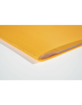 File sheet of solid PP 800µ sorted with 30 cases Linicolor, for A4 color