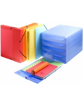 File sheet with spiral of rigid PP 800? sorted with 30 cases, Linicolor, for A4 color