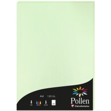 A4 Papel de polen 120 g 50 hojas verde