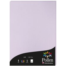 Carta polline A4 120g 50 fogli glicina