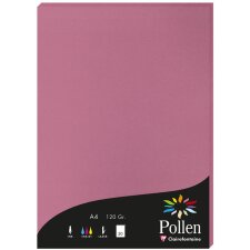 50 feuilles de papier Pollen, DIN A4, 120g rose hortensia