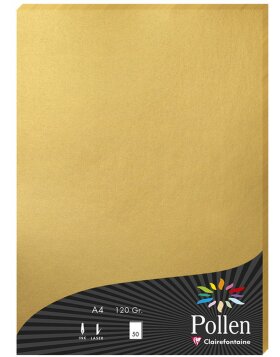Clairefontaine Pollen Gold Metallic Papier 120g/m² DIN-A4 50 Blatt Goldenes 