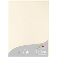 Pack 50 Blatt Papier Pollen, DIN A4, 160g Elfenbein