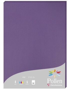 Paper A4 pollen 210g purple 25 sheets