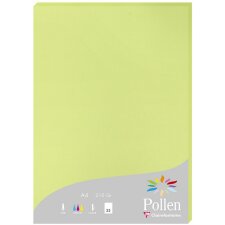 25 Blatt Papier Pollen, DIN A4, 210g Knospengrün