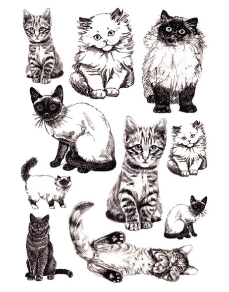 gattini giocherelloni in bianco e nero della gamma DECOR