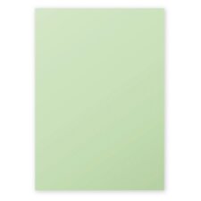 Paper a4 pollen 210g pearl green 25 sheets