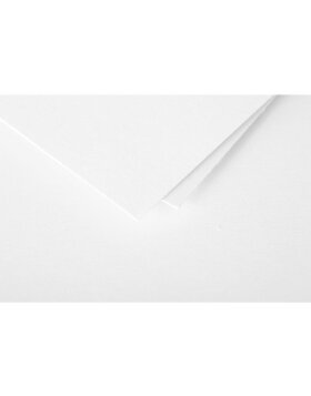 Carta C6 Polline 210g Bianco