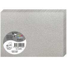 Card c6 double 210g silver