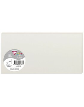 Pack 25 cards pollen, DL 106x213mm, 210g light gray