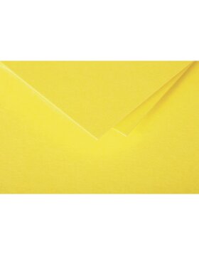 Pack 20 envelopes pollen, c5 162x229mm, 120g sonne
