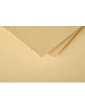 Pack 20 envelopes pollen, c5 162x229mm, 120g caramel
