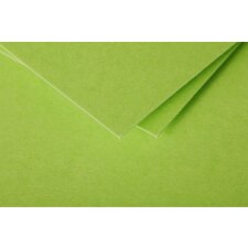 Pack 20 envelopes pollen, c5 162x229mm, 120g mint