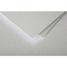 Pack 25 cards pollen, 135x135mm, 210g silver