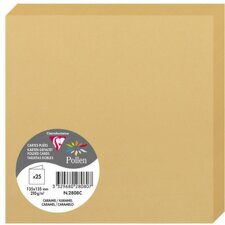 pack with 25 double cards 135x135 caramel