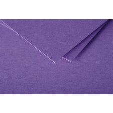 Doppelkarte Pollen 135x135 violett