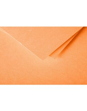 Enveloppe stuifmeel 20 stuks clementine 140x140 mm 120g