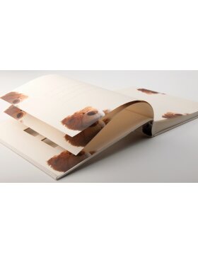 Walther Álbum Bebé Oso Clásico 28x30,5 cm 60 páginas blancas