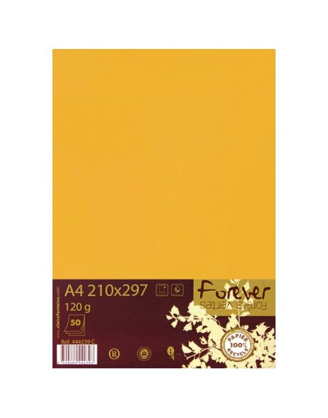 Paquete de 50 hojas de papel Forever, DIN A4, 120 g clementina