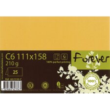 double card Forever C6 210g apricot 25 pieces