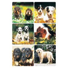 decorative labels "Puppies" - DECOR