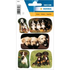 HERMA decorative labels "Puppies II" - DECOR