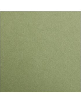 25 sheets of clay paper a4 leaf green