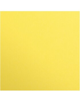 Photo cardboard a4 lemon 25 sheets