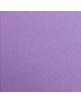 Carton photo A4 violet 25 feuilles