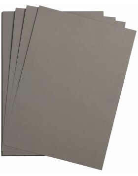 Cartoncino fotografico A4 grigio 25 fogli