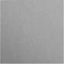 Cartoncino fotografico A4 grigio 25 fogli