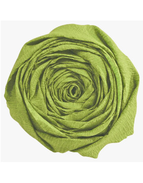 roll crepe paper in Moss-green - 95155C Clairefontaine