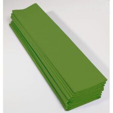 10 sheets crepe paper apple green 250x50 cm