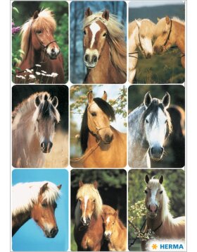 Wunderschöne Sticker mit Pferde-Gesichtern von DECOR