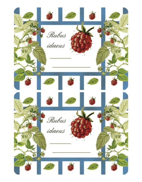 Adhesive canning labels &quot;Raspberry&quot; - 3 sheets