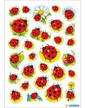 Decorative labels "Ladybug" - DECOR