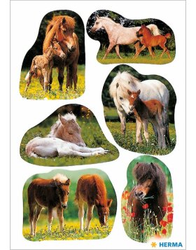 Adorables fotos de caballos en forma de pegatinas de DECOR