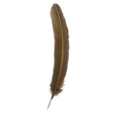 Pluma de ganso, 28 cm de largo - bronce