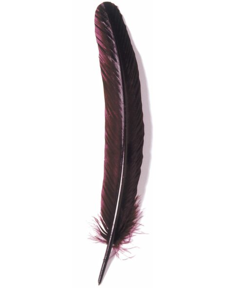 Pluma de ganso, 28 cm de largo - burdeos