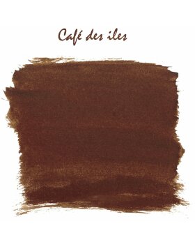 Encre de calligraphie 30 ml brun café