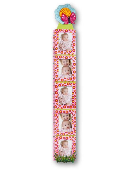 Picture Frames yardstick butterfly pink
