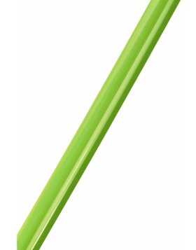 Cornice di plastica Madrid 10x15 cm verde chiaro