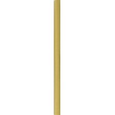 Plastikowa ramka Malaga 50x70 cm złota